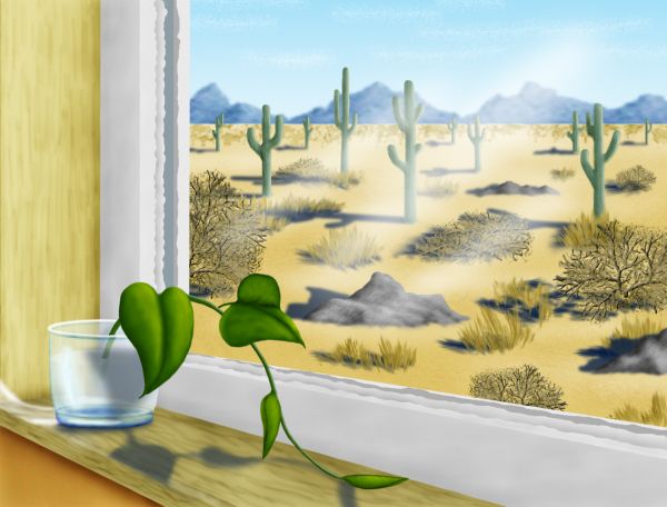 Creation of Desert Window: Final Result